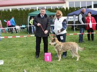 AHHC-Clubschau 2016 - Jüngsten - Baby